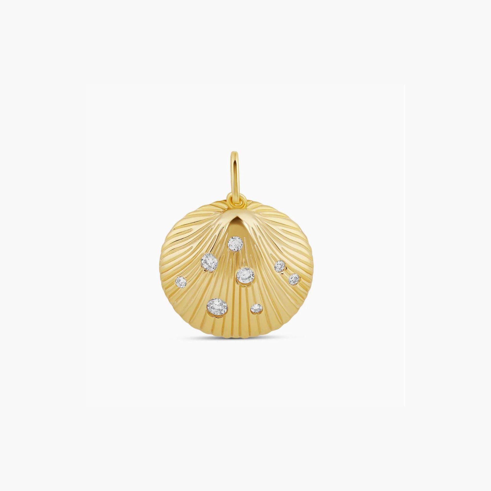 Ocean shell